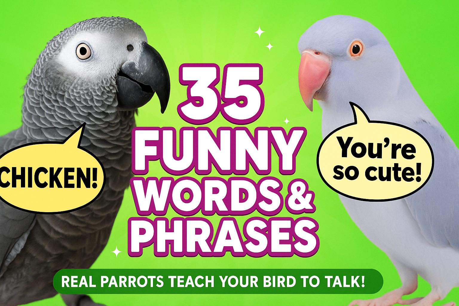 Popular Video Series: Real Parrots Teach Your Bird to Talk!
